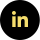 LinkedIn icon